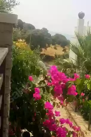 Бодрум – туристический город, в котором хочется ЖИТЬ.