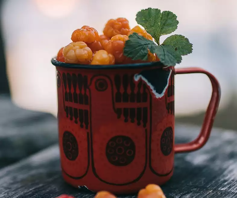 Лапландия - 8 важных советов для тех, кто мечтает жить на «родине Санта-Клауса»