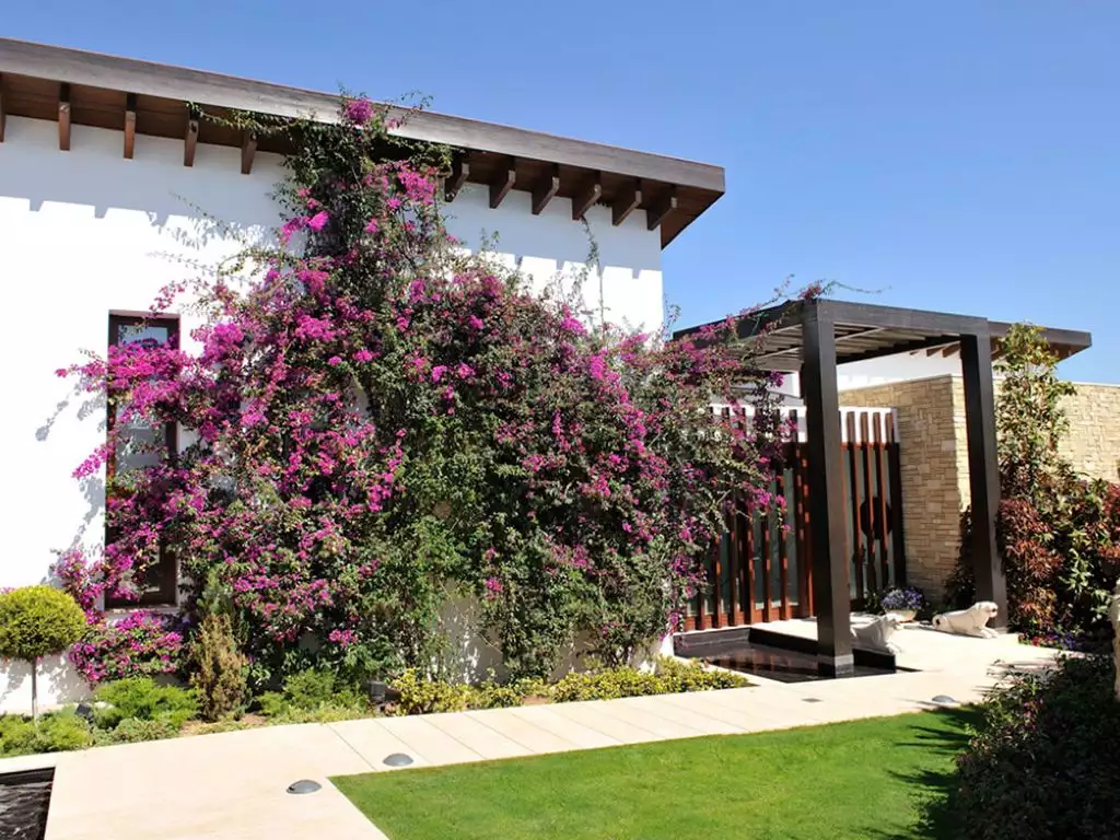 Пафос - город с древними театрами, голубыми лагунами и... новыми особняками