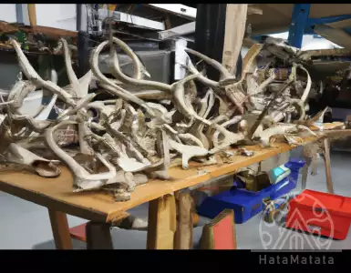 Мужчина из Джорджии о заплатил $31 тыс. за гарнитур Мёрдоха в поместье Мозель на аукционе