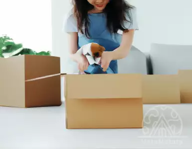 Можно выселить жильца с животными? О чем говорит закон.