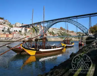 Изучение затрат на получение образования в Португалии