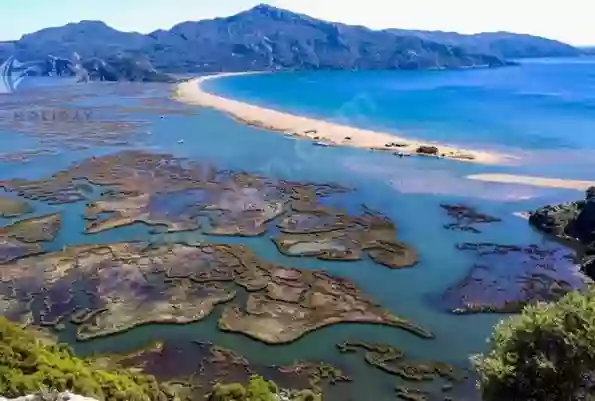 Квартиры (2+1) в Дальяне \ район Ортаджа, провинция Мугла. Турция