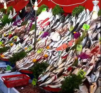 Авнавуткей – прибежище рыболовов в Стамбуле. Обзор района и недвижимости.