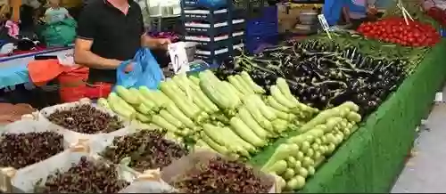 Авнавуткей – прибежище рыболовов в Стамбуле. Обзор района и недвижимости.