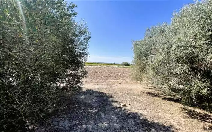 Дом 143м² в Испании, Эльче. Стоимостью 270000€ аренда фото-29