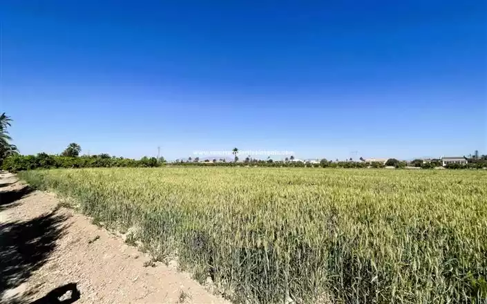 Дом 143м² в Испании, Эльче. Стоимостью 270000€ аренда фото-31