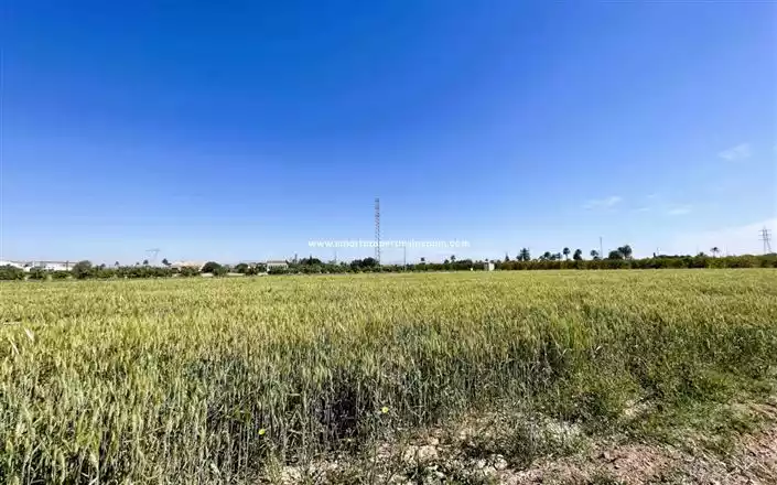 Дом 143м² в Испании, Эльче. Стоимостью 270000€ аренда фото-32