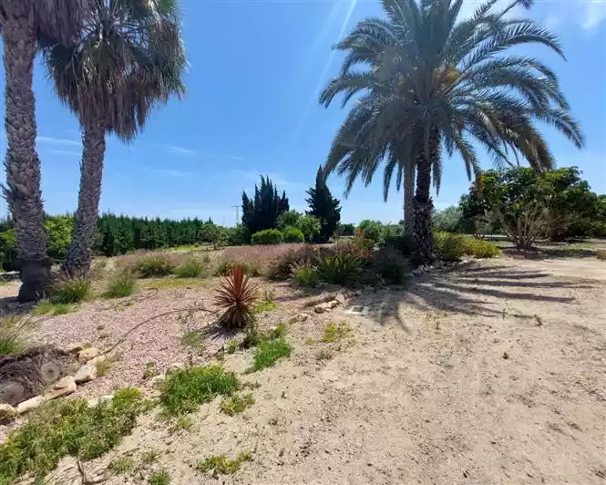 Дом 96м² в Испании, Аликанте. Стоимостью 249500€ аренда фото-13