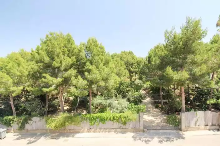 Таунхаус 63м² в Испании, Альгорфа. Стоимостью 94500€ аренда фото-18