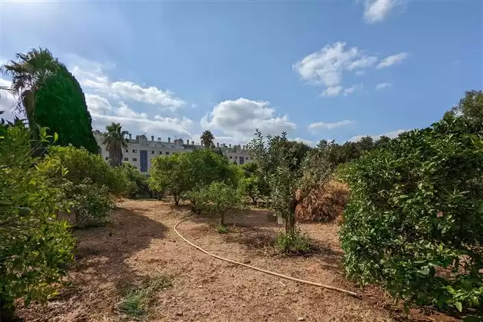 Дом 184м² в Испании, Дения. Стоимостью 585000€ аренда фото-5