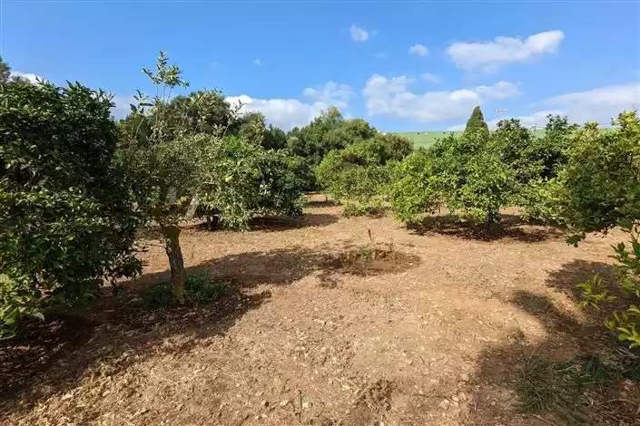 Дом 184м² в Испании, Дения. Стоимостью 585000€ аренда фото-6