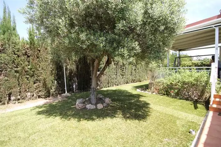 Дом 103м² в Испании, Торревьеха. Стоимостью 319999€ аренда фото-39