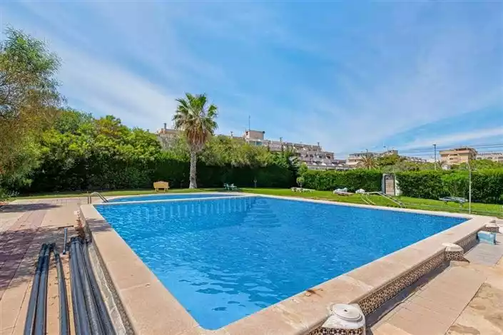Квартира 63м² в Испании, Пунта Прима. Стоимостью 119000€ аренда фото-3