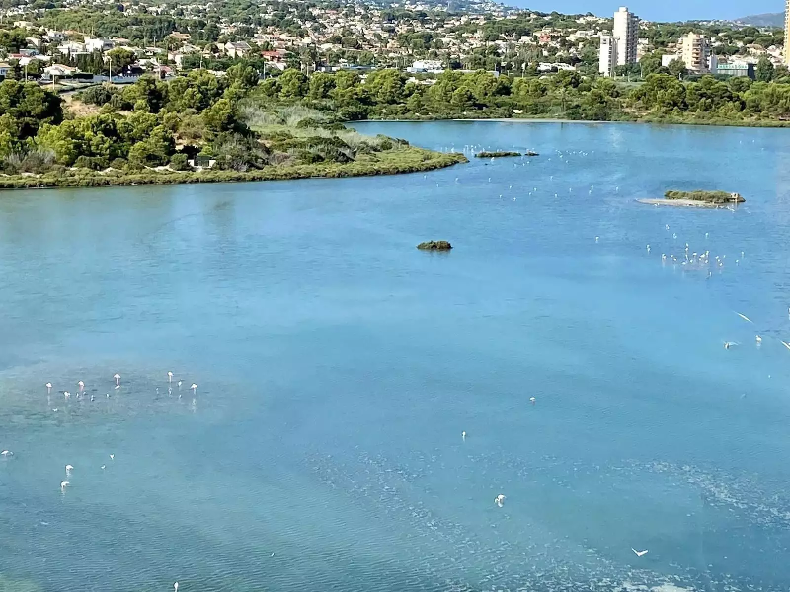 Квартира 88м² в Испании, Кальп. Стоимостью 160000€ аренда фото-9