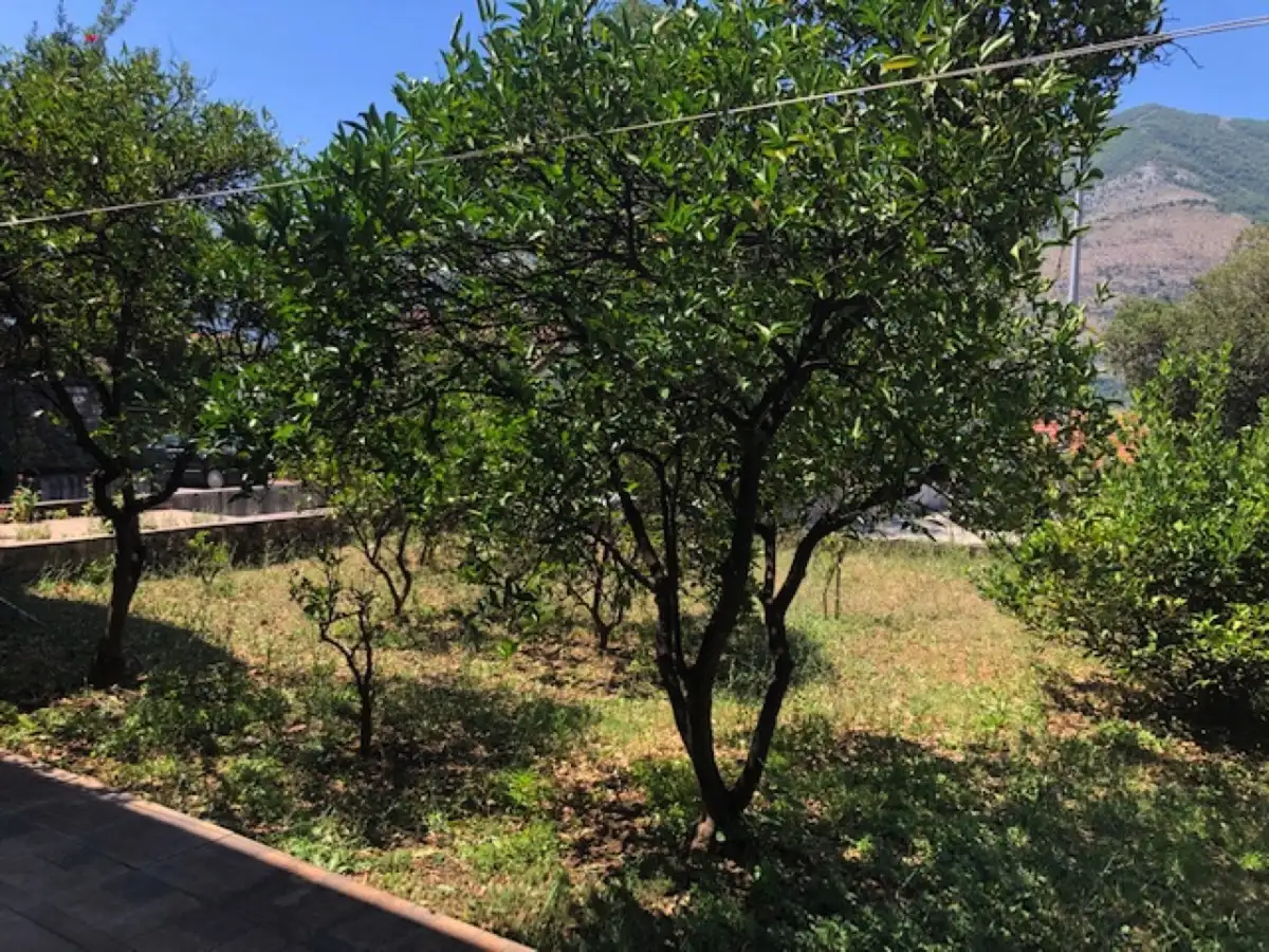 Дом 250м² в Черногории, Доброта. Стоимостью 720000€ аренда фото-9