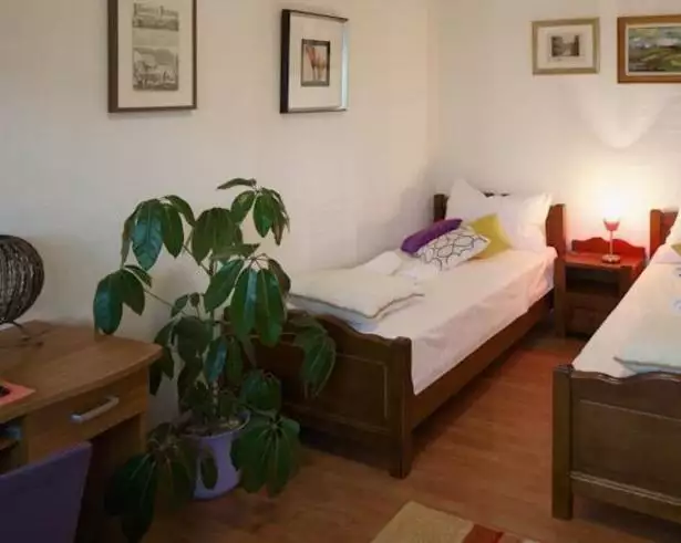 Отель, гостиница 1м² в Хорватии, Чиово. Стоимостью 999000€ аренда фото-14
