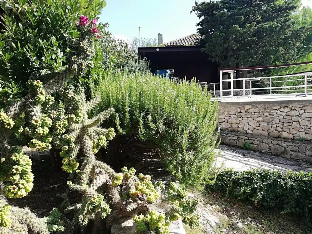 Вилла 368м² в Хорватии, Уние. Стоимостью 990000€ аренда фото-18