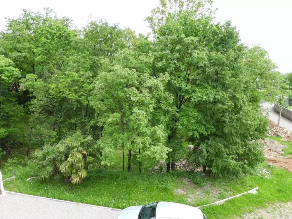 Отель, гостиница 550м² в Хорватии, Матульи. Стоимостью 1850000€ аренда фото-14