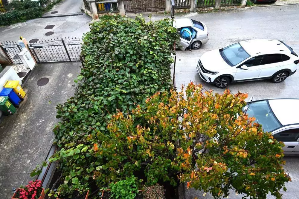 Отель, гостиница 1007м² в Хорватии, Ровинь. Стоимостью 3000000€ аренда фото-11