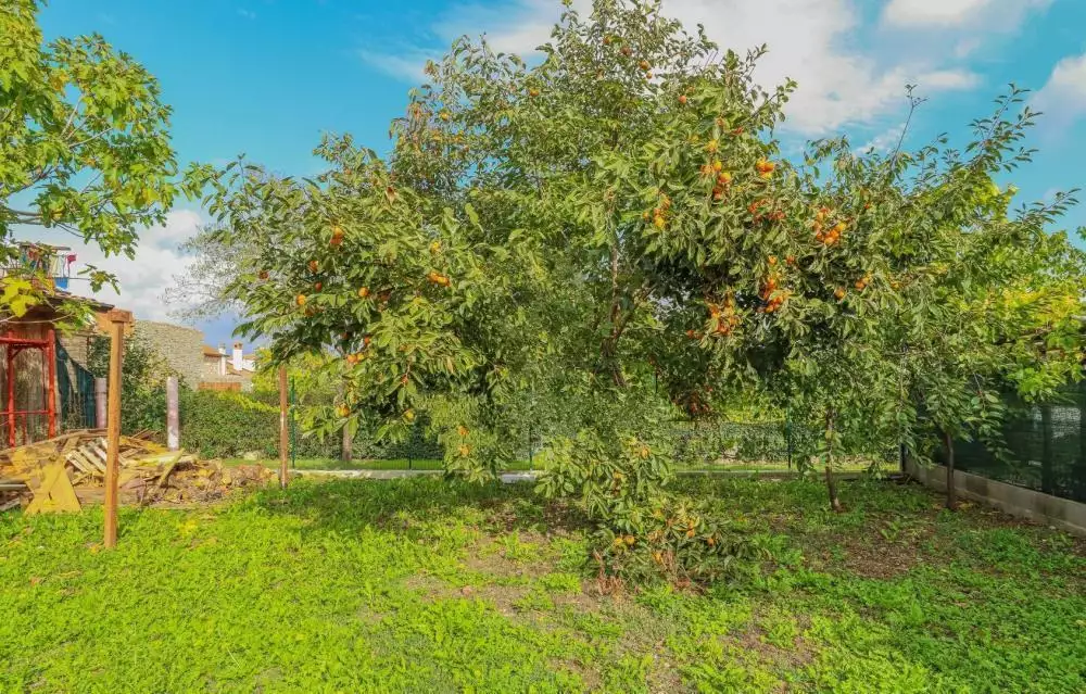 Отель, гостиница 508м² в Хорватии, Бртонигла. Стоимостью 950000€ аренда фото-2