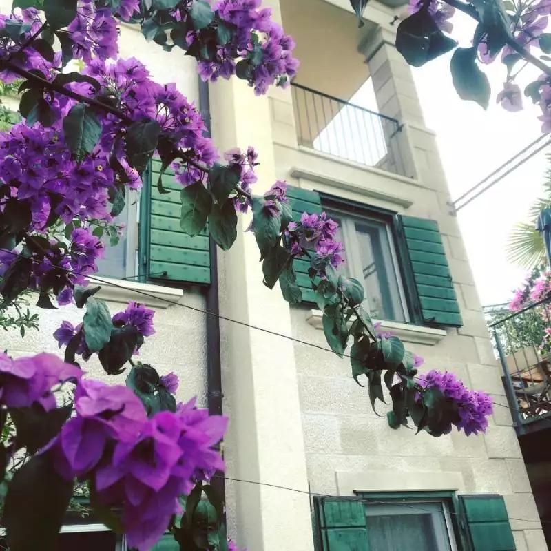 Вилла 140м² в Хорватии, Мирца. Стоимостью 1455000€ аренда фото-19