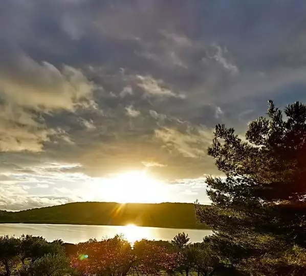 Вилла 545м² в Хорватии, Муртер. Стоимостью 2950000€ аренда фото-22