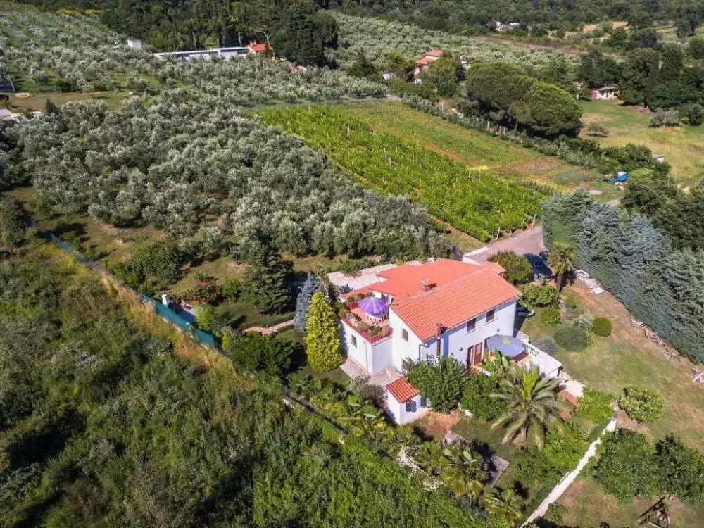 Вилла 240м² в Хорватии, Медулин. Стоимостью 2100000€ аренда фото-25