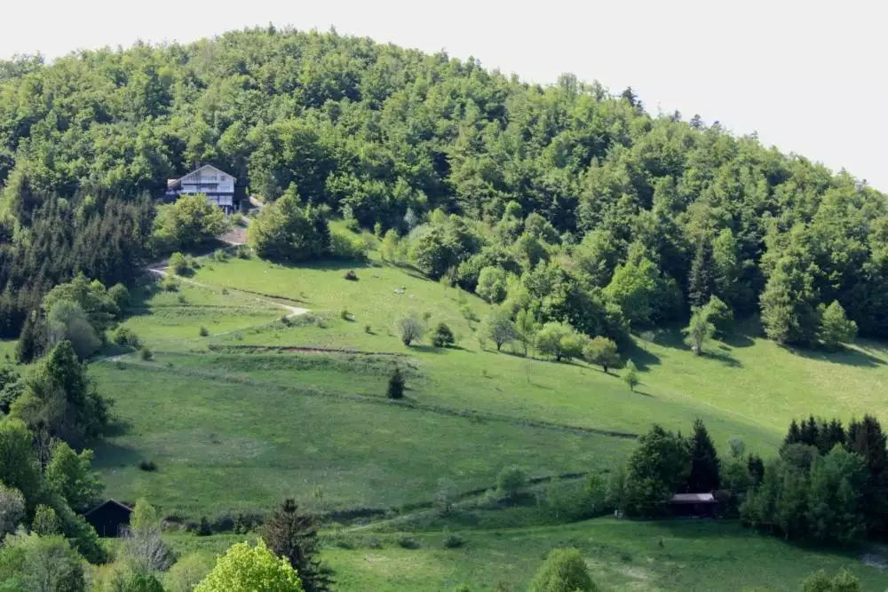 Вилла 540м² в Хорватии, Дельнице. Стоимостью 690000€ аренда фото-13