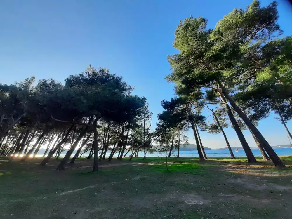 Отель, гостиница 331м² в Хорватии, Медулин. Стоимостью 990000€ аренда фото-16