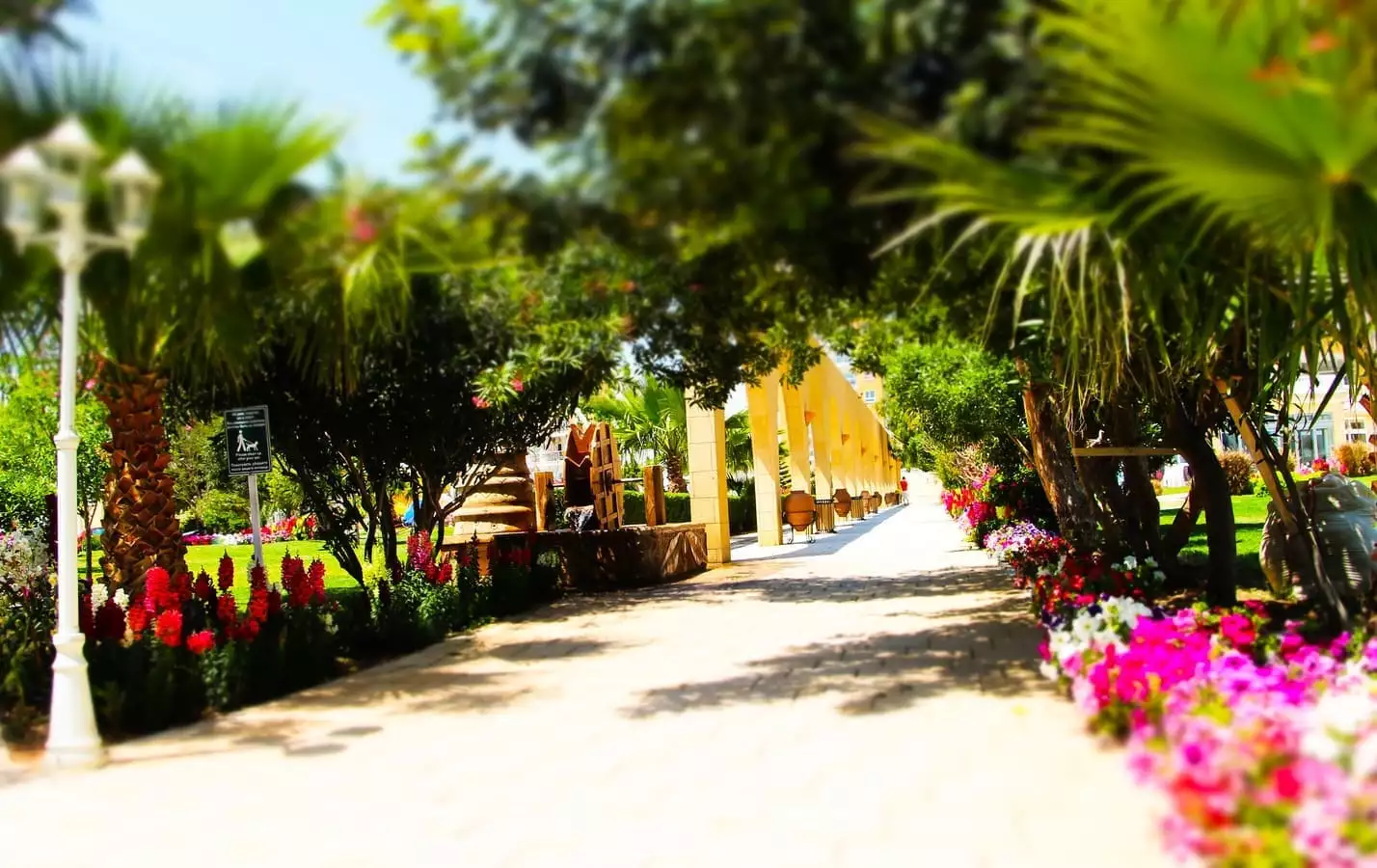 Квартира 46м² в Кипре, Искеле. Стоимостью 100100€ аренда фото-19