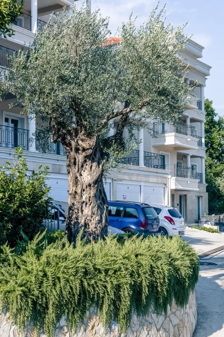 Квартира 134м² в Черногории, Дженовичи. Стоимостью 600000€ аренда фото-12