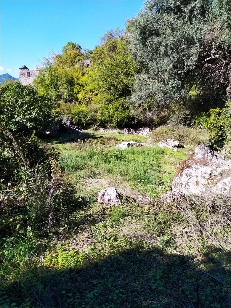Дом 210м² в Черногории, Скадарское озеро. Стоимостью 265000€ аренда фото-8