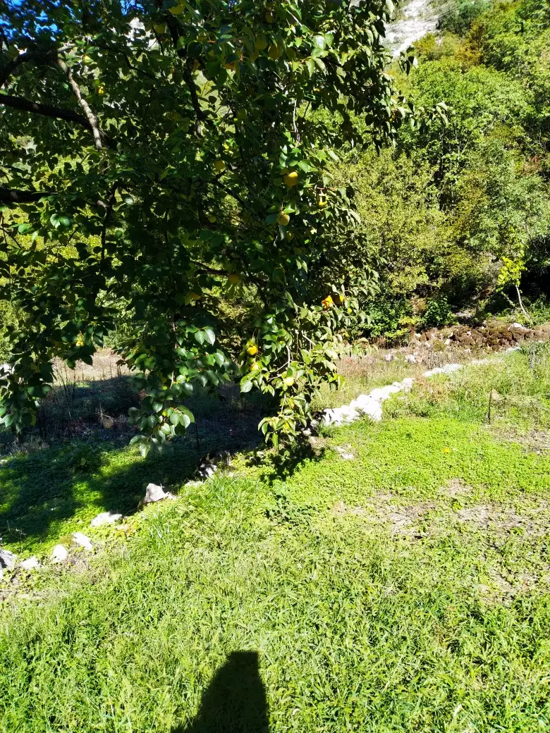 Дом 210м² в Черногории, Скадарское озеро. Стоимостью 265000€ аренда фото-25