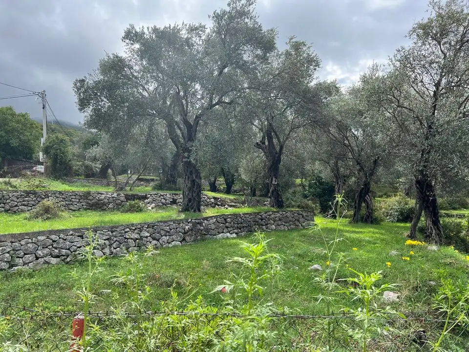 Вилла 183м² в Черногории, Бар. Стоимостью 330000€ аренда фото-3