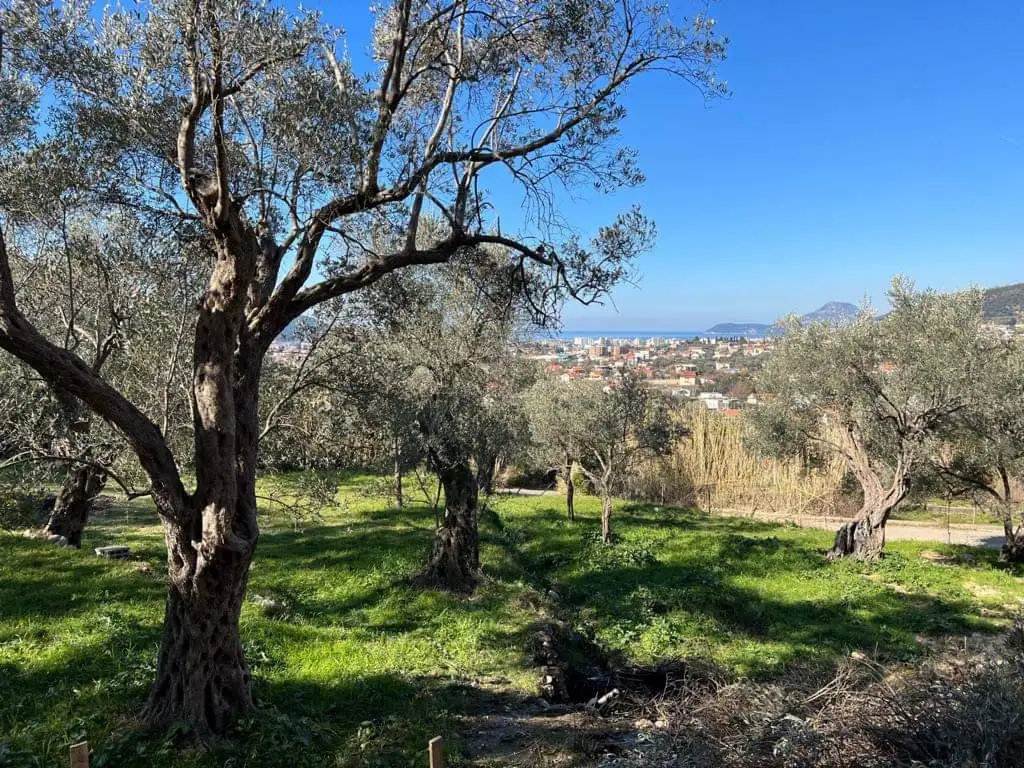 Вилла 183м² в Черногории, Бар. Стоимостью 330000€ аренда фото-20