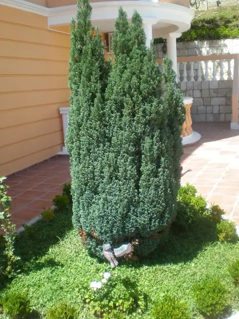 Квартира 470м² в Черногории, Петровац. Стоимостью 1500000€ аренда фото-17