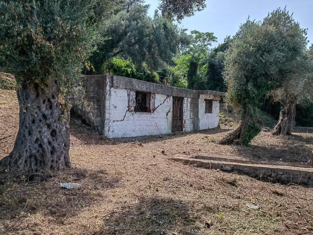 Земельный участок 153м² в Черногории, Бар. Стоимостью 300000€ аренда фото-4
