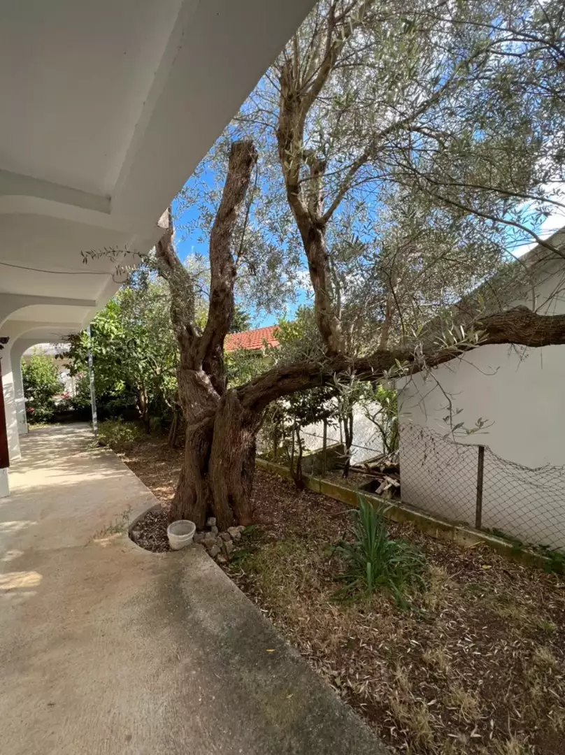 Дом 219м² в Черногории, Добра Вода. Стоимостью 192600€ аренда фото-9
