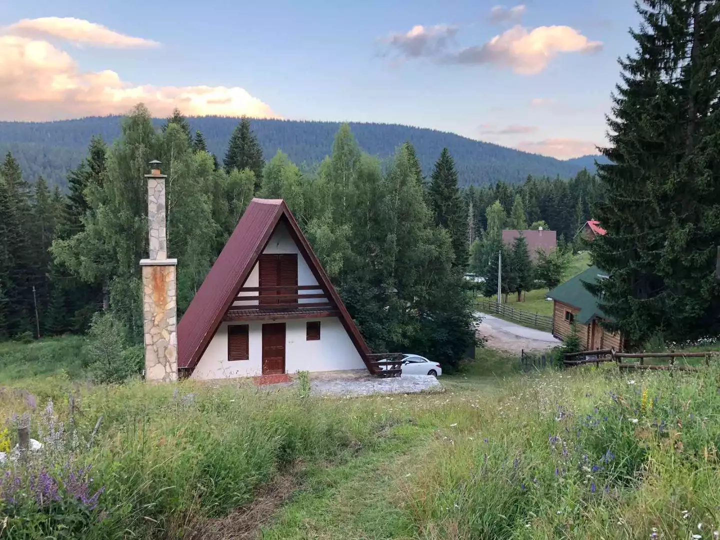 Дом 140м² в Черногории, Жабляк. Стоимостью 140000€ аренда фото-1