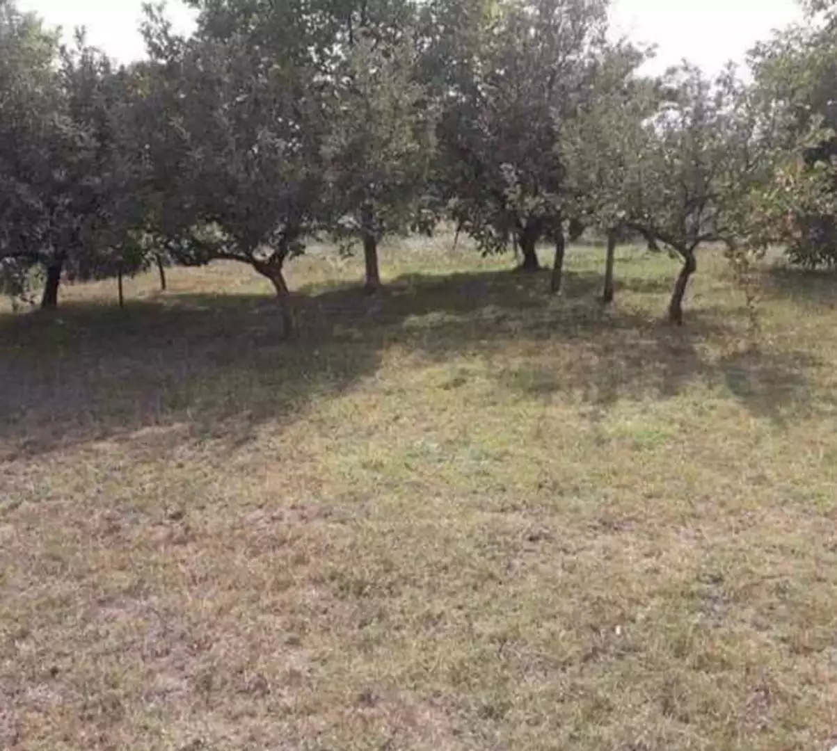 Дом 100м² в Черногории, Даниловград. Стоимостью 90000€ аренда фото-3