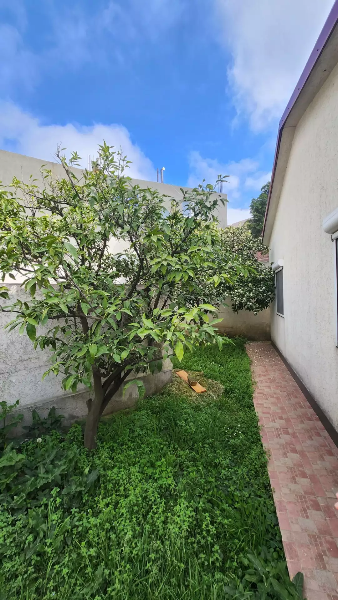 Дом 137м² в Черногории, Сутоморе. Стоимостью 210000€ аренда фото-4