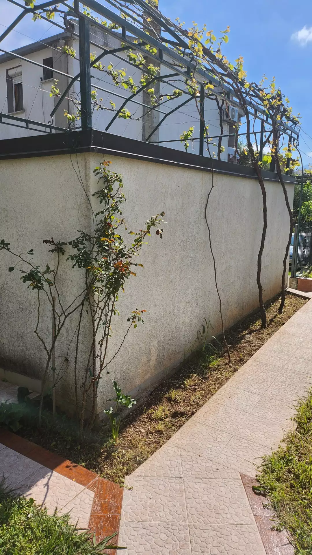 Дом 137м² в Черногории, Сутоморе. Стоимостью 210000€ аренда фото-5