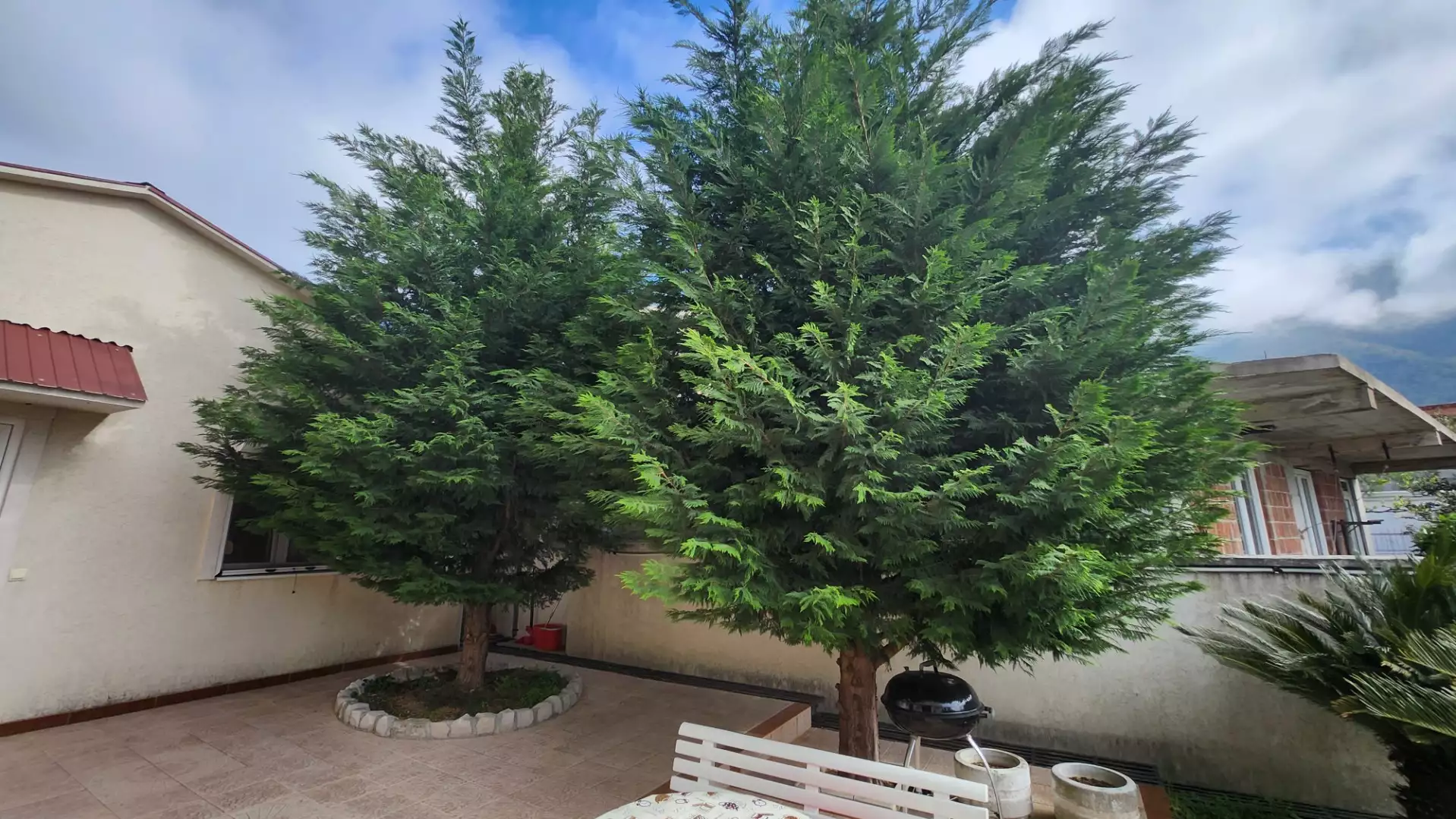 Дом 137м² в Черногории, Сутоморе. Стоимостью 210000€ аренда фото-9