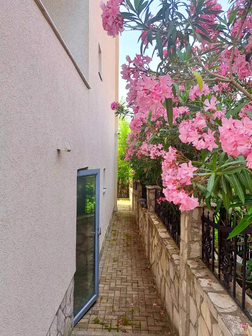 Квартира 28м² в Черногории, Утеха. Стоимостью 56500€ аренда фото-2
