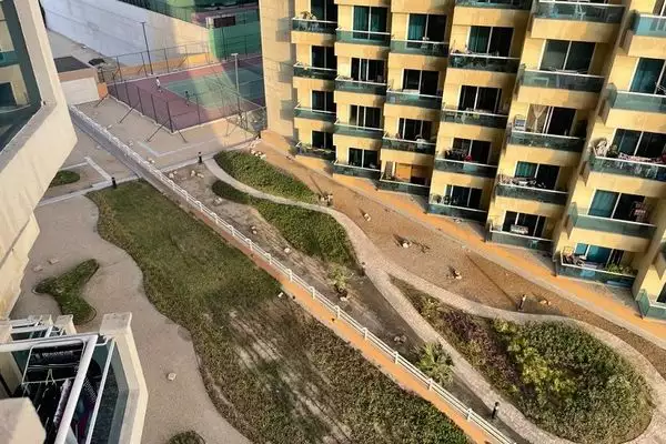 Квартира 46м² в ОАЭ, Дубай. Стоимостью 84903€ аренда фото-10