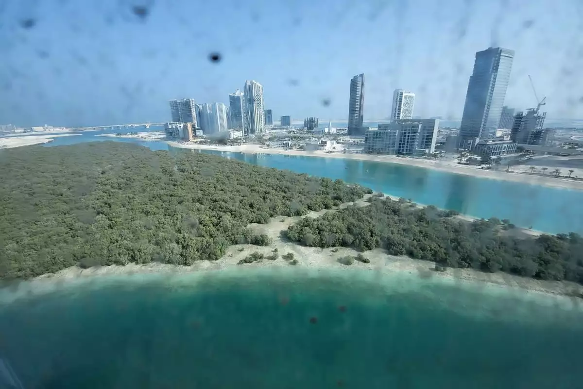 Квартира 88м² в ОАЭ, Абу-Даби. Стоимостью 216225€ аренда фото-3