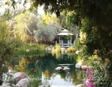 Купить виллу в ОАЭ 6492603€