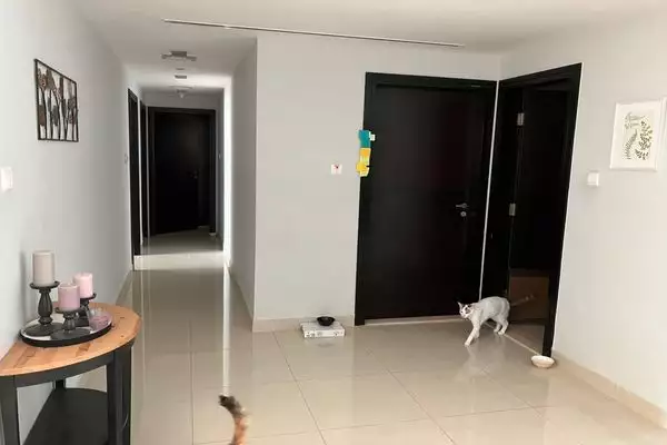 Квартира 156м² в ОАЭ, Абу-Даби. Стоимостью 574346€ аренда фото-7