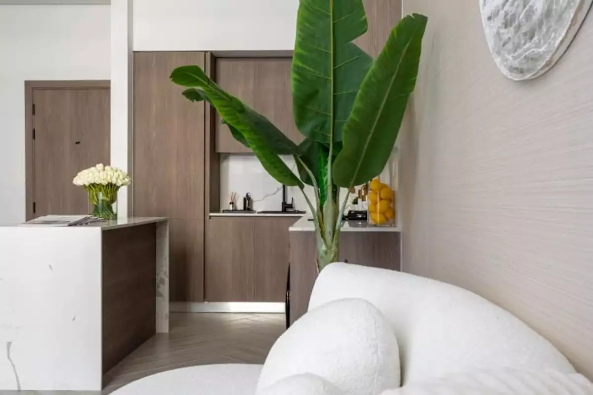 Квартира 34м² в ОАЭ, Дубай. Стоимостью 156072€ аренда фото-14